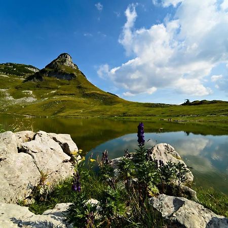 Guetl Plank Lägenhet Altaussee Exteriör bild